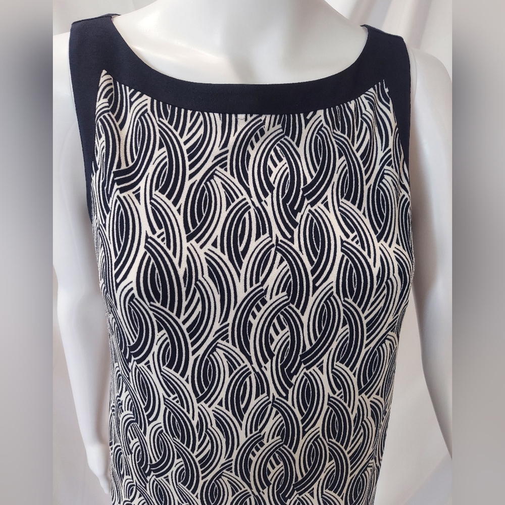 Ann Taylor Dress